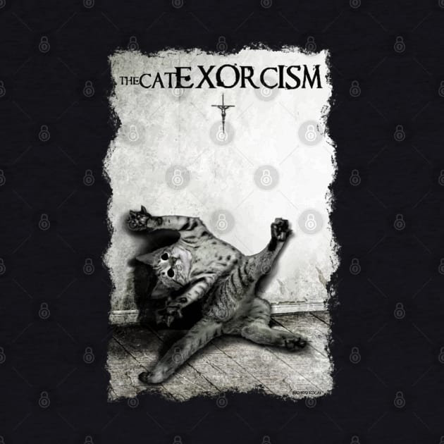 Cat exorcism by darklordpug